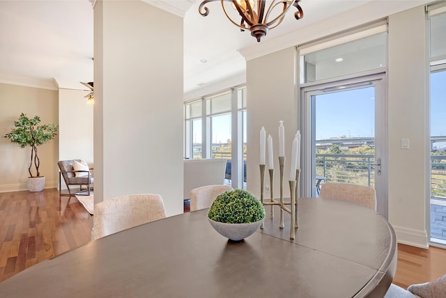 dining space featuring hardwood / wood-style flooring, ornamental molding, plenty of natural light, and ceiling fan with notable chandelier