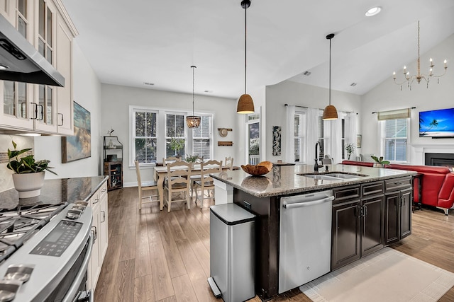 kitchen featuring ventilation hood, a sink, a chandelier, stainless steel appliances, and light wood-style floors