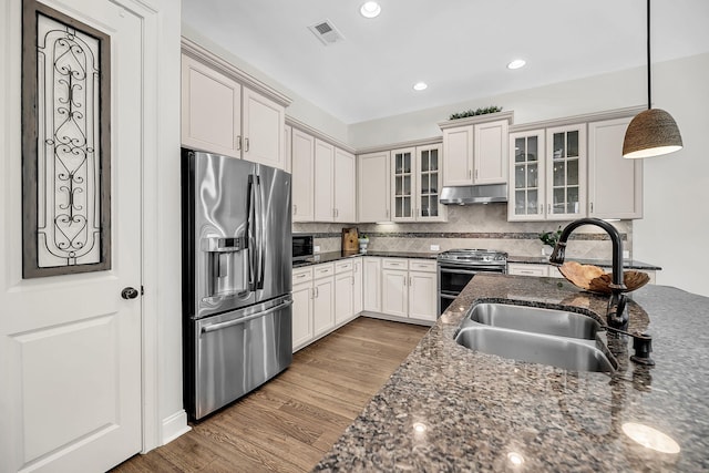 kitchen with a sink, wood finished floors, appliances with stainless steel finishes, under cabinet range hood, and visible vents
