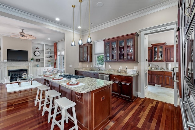 kitchen with a glass covered fireplace, a ceiling fan, dark wood-type flooring, stainless steel appliances, and a sink