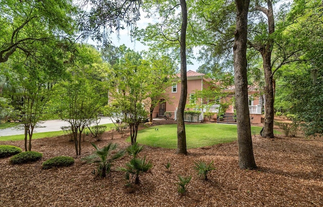 view of yard