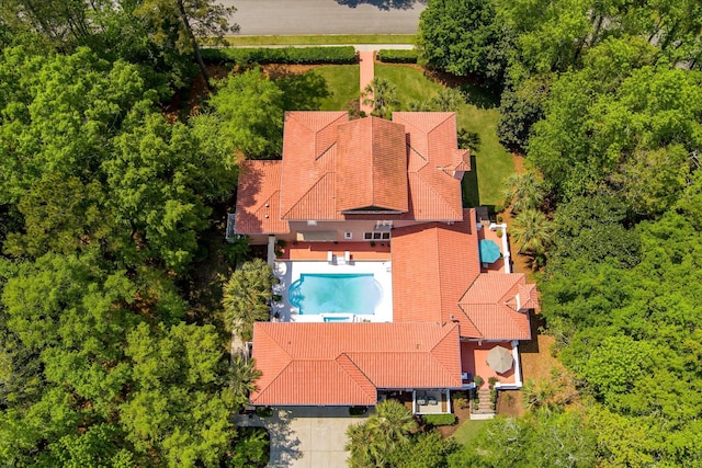 bird's eye view