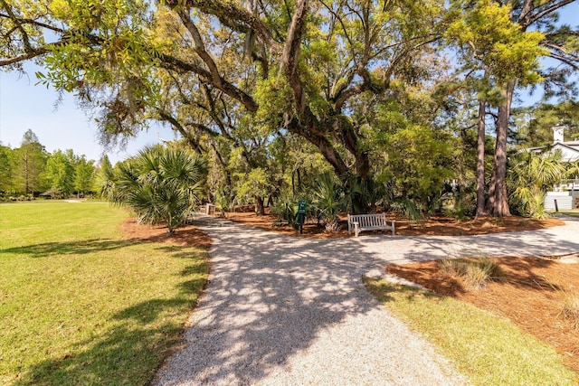 view of property's community with a lawn