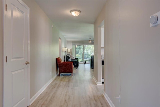 8483 Yadkin Cir Unit D, North Charleston, SC 29406 - hallway featuring light wood finished floors and baseboards