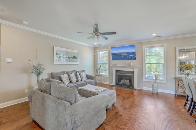 living room featuring ceiling fan, ornamental molding, and hardwood / wood-style floors