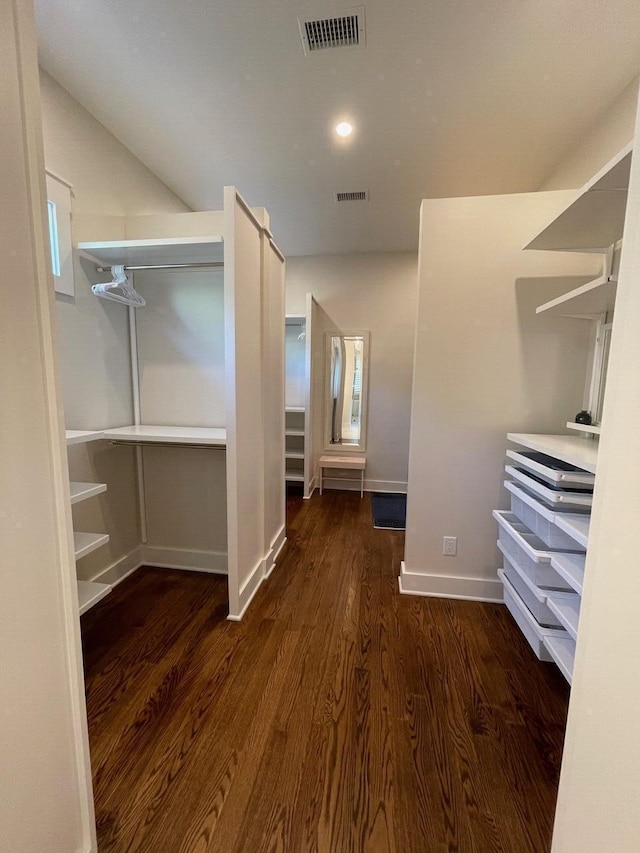 spacious closet featuring dark hardwood / wood-style flooring