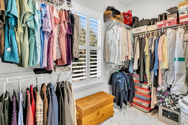 view of spacious closet