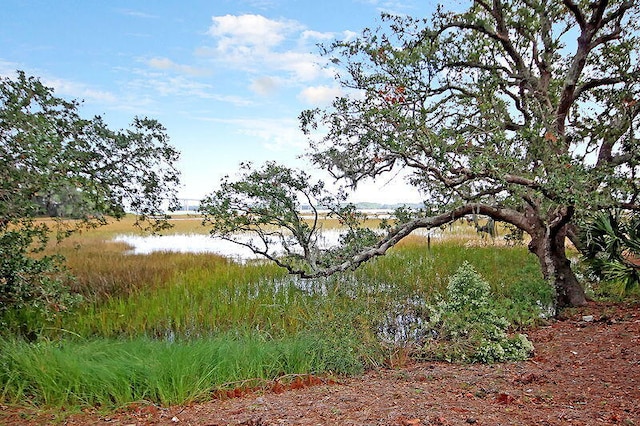 view of landscape with a water view