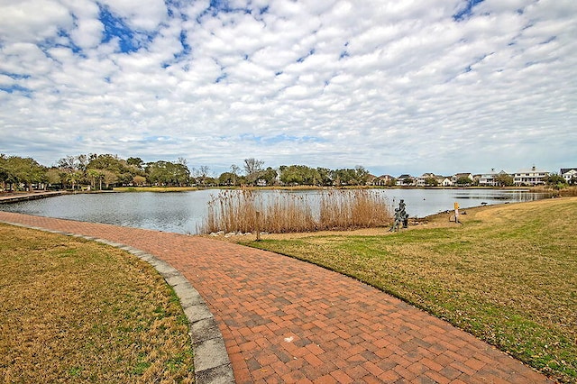 view of water feature