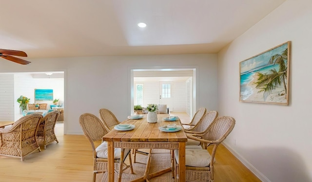 dining area with ceiling fan and light hardwood / wood-style flooring