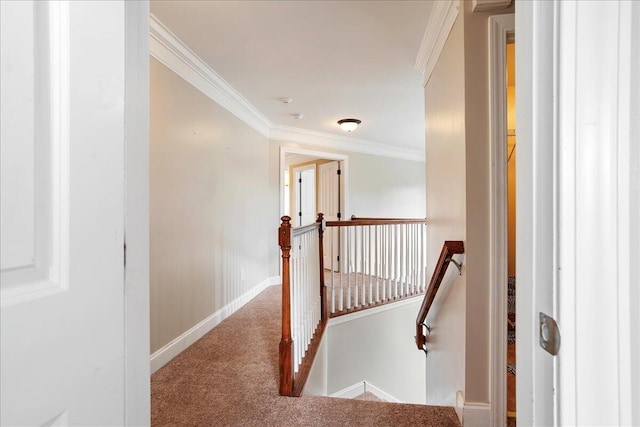 corridor featuring carpet floors and ornamental molding