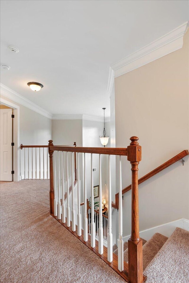 stairway featuring crown molding and carpet flooring