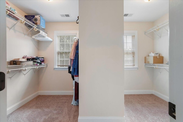 walk in closet with light colored carpet