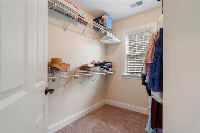 spacious closet with carpet