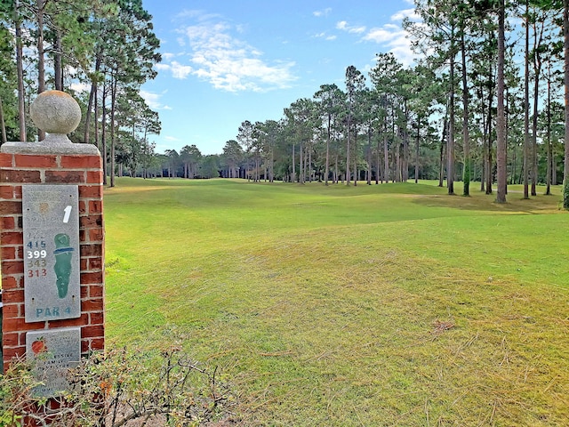 view of yard