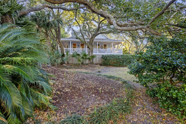 view of yard featuring covered porch