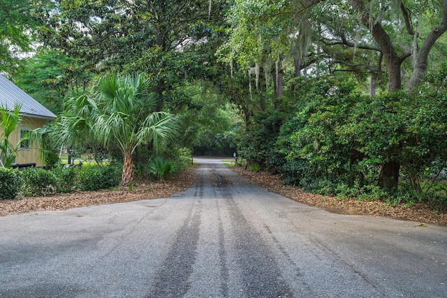 8346 Chisolm Plantation Rd, Edisto Island, SC 29438 - view of asphalt street