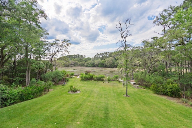 8346 Chisolm Plantation Rd, Edisto Island, SC 29438 - view of grassy yard