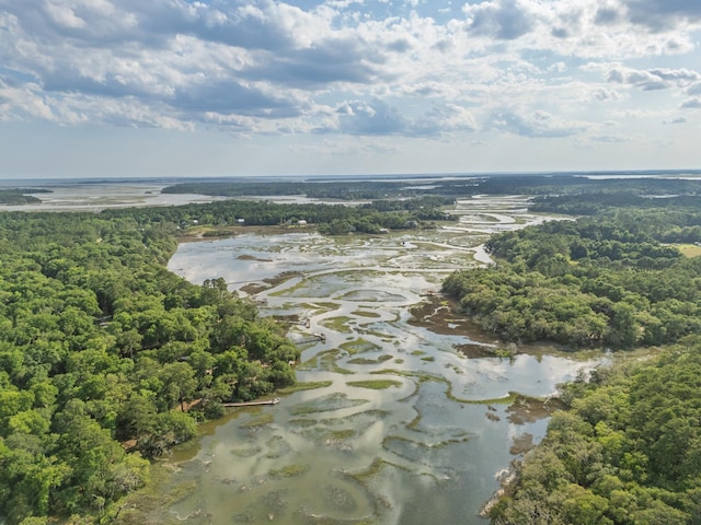 8346 Chisolm Plantation Rd, Edisto Island, SC 29438 - drone / aerial view of a nearby body of water and a forest