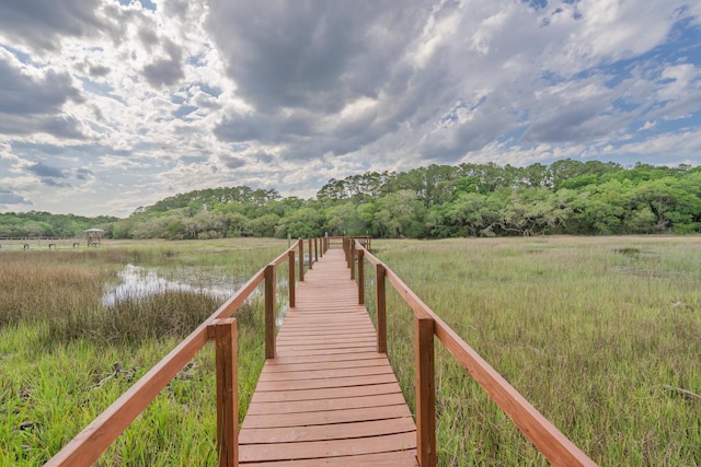 8346 Chisolm Plantation Rd, Edisto Island, SC 29438 - dock area featuring a view of trees