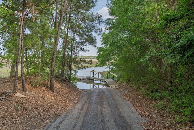 8346 Chisolm Plantation Rd, Edisto Island, SC 29438 - dock area featuring a water view