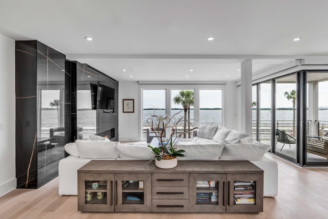 living room featuring a large fireplace and light hardwood / wood-style flooring