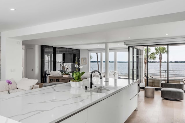 kitchen featuring white cabinetry, a healthy amount of sunlight, light stone countertops, and sink