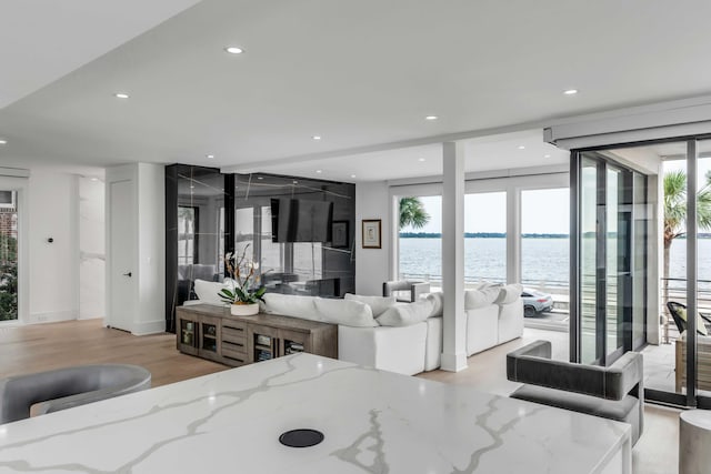 interior space featuring light stone counters and light hardwood / wood-style flooring