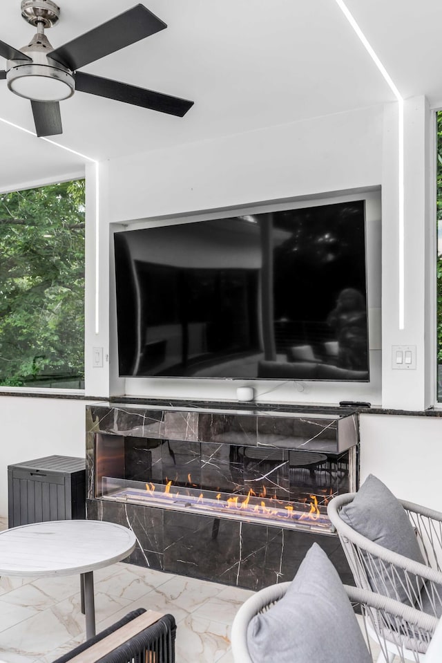 details featuring ceiling fan and a fireplace