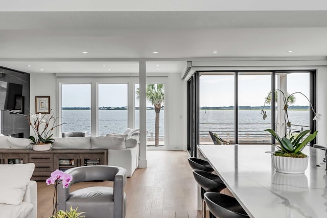 living room with light hardwood / wood-style flooring, a healthy amount of sunlight, and a water view