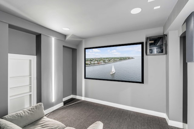 view of carpeted cinema room