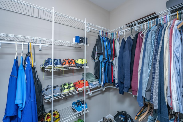 view of spacious closet