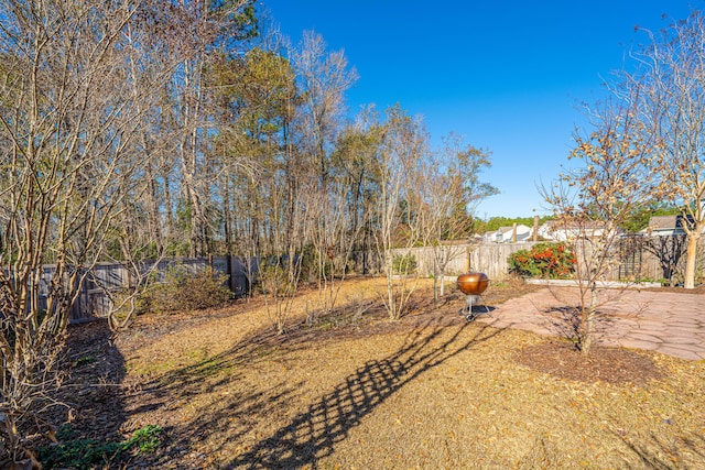 view of yard with a patio