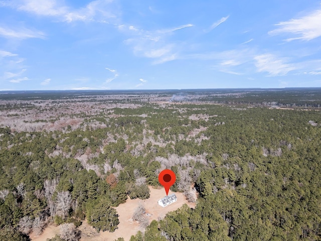 8978 Victor Lincoln Rd, Mcclellanville, SC 29458 - bird's eye view