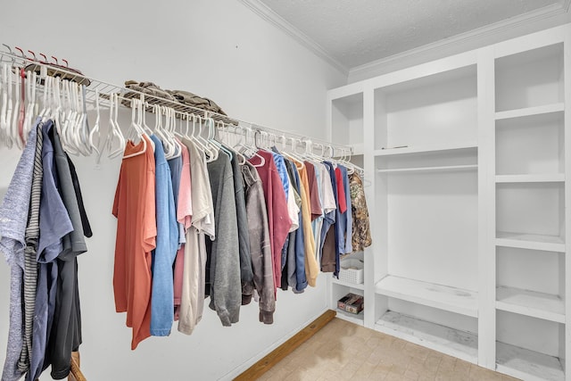 view of spacious closet