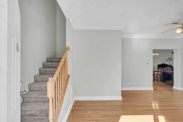 stairs featuring hardwood / wood-style flooring, ceiling fan, and crown molding