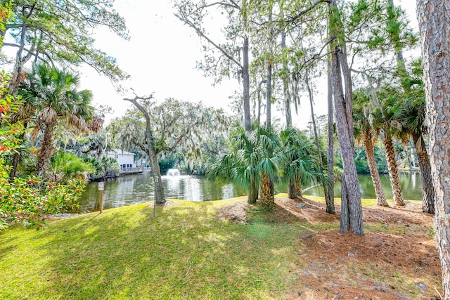 view of yard with a water view