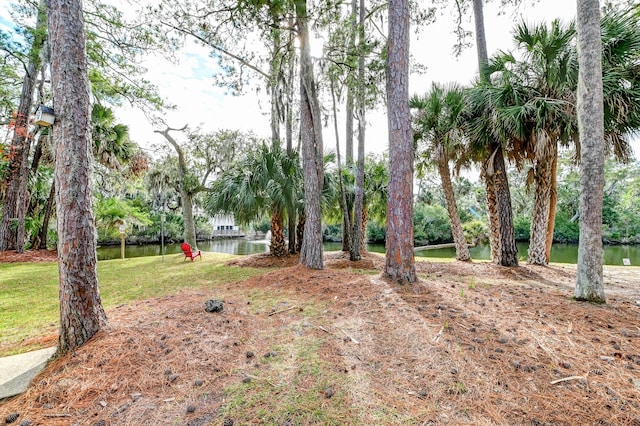 view of yard featuring a water view