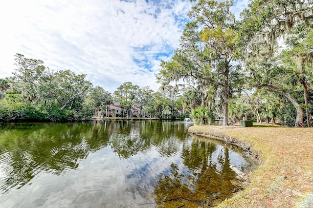 property view of water