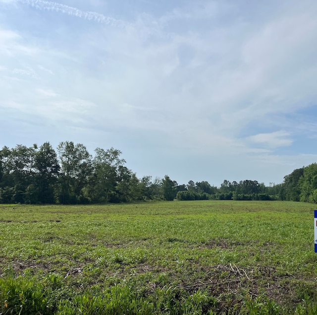 1 Ace Basin Hwy, Jacksonboro, SC 29452
