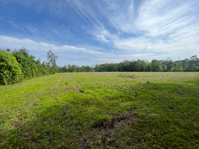 1 Ace Basin Hwy, Jacksonboro, SC 29452