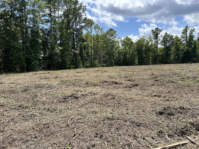 1 Ace Basin Hwy, Jacksonboro, SC 29452