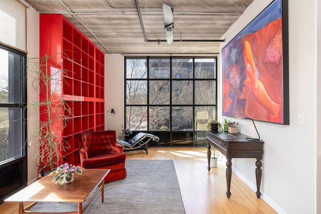 living area with floor to ceiling windows, hardwood / wood-style floors, and ceiling fan