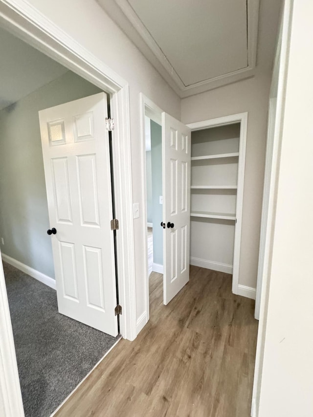 710 Gadsden Loop, Walterboro, SC 29488 - hallway featuring wood finished floors and baseboards