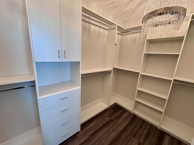 walk in closet featuring a chandelier and dark hardwood / wood-style floors