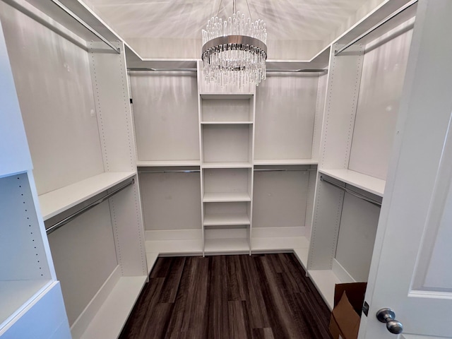 walk in closet with a chandelier and dark hardwood / wood-style floors