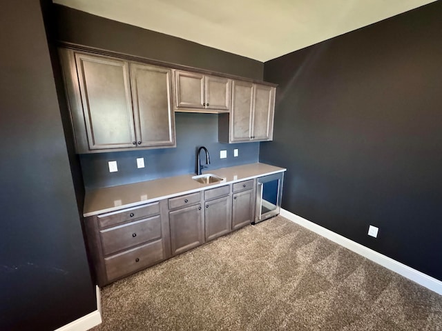 kitchen featuring sink and carpet