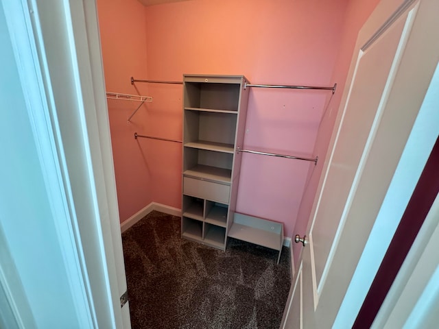 spacious closet featuring carpet