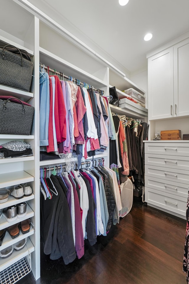 spacious closet featuring dark wood finished floors