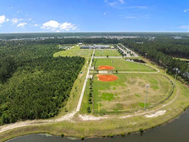 255 Saxony Loop, Summerville, SC 29486 - aerial view of a heavily wooded area and a nearby body of water